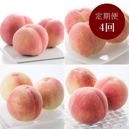 ＜橋村農園＞「旬の桃」４種（日川白鳳・白鳳・なつっこ・川中島白桃）各回1.8kg（６～８個入）【４回定期便】