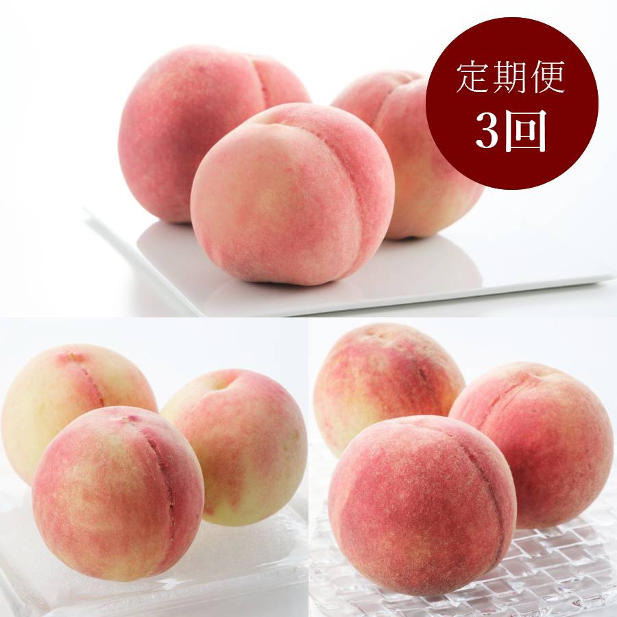 <橋村農園>「旬の桃」大玉3種(白鳳・なつっこ・川中島白桃)各回2.8kg(6~8個入)【3回定期便】