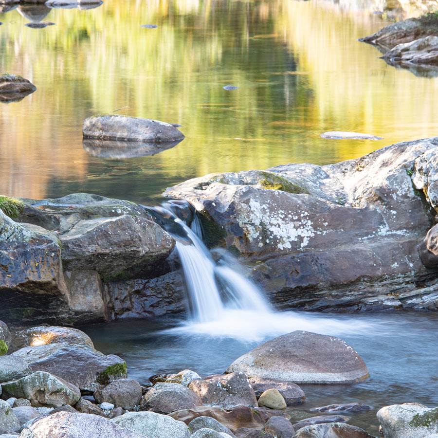 近大キャビア(30g)