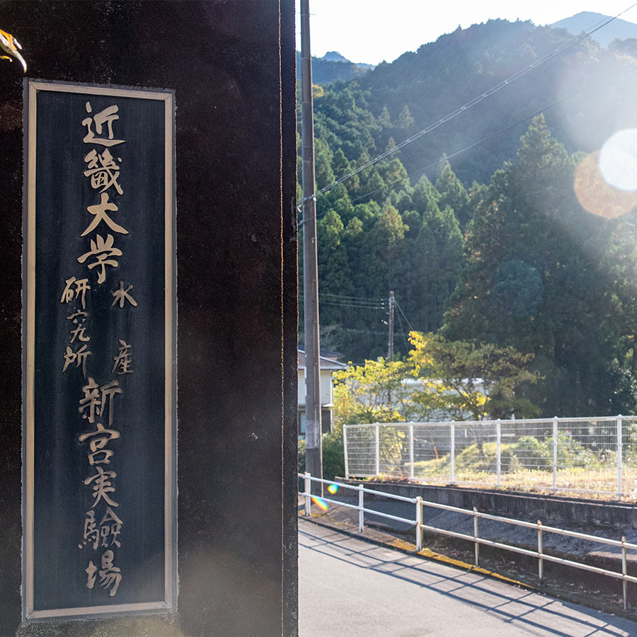 近大キャビア（10g×2個）