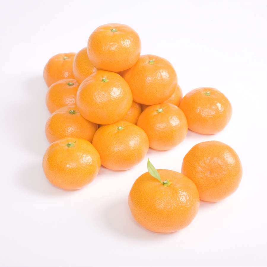 赤特選 完熟みかん5kg