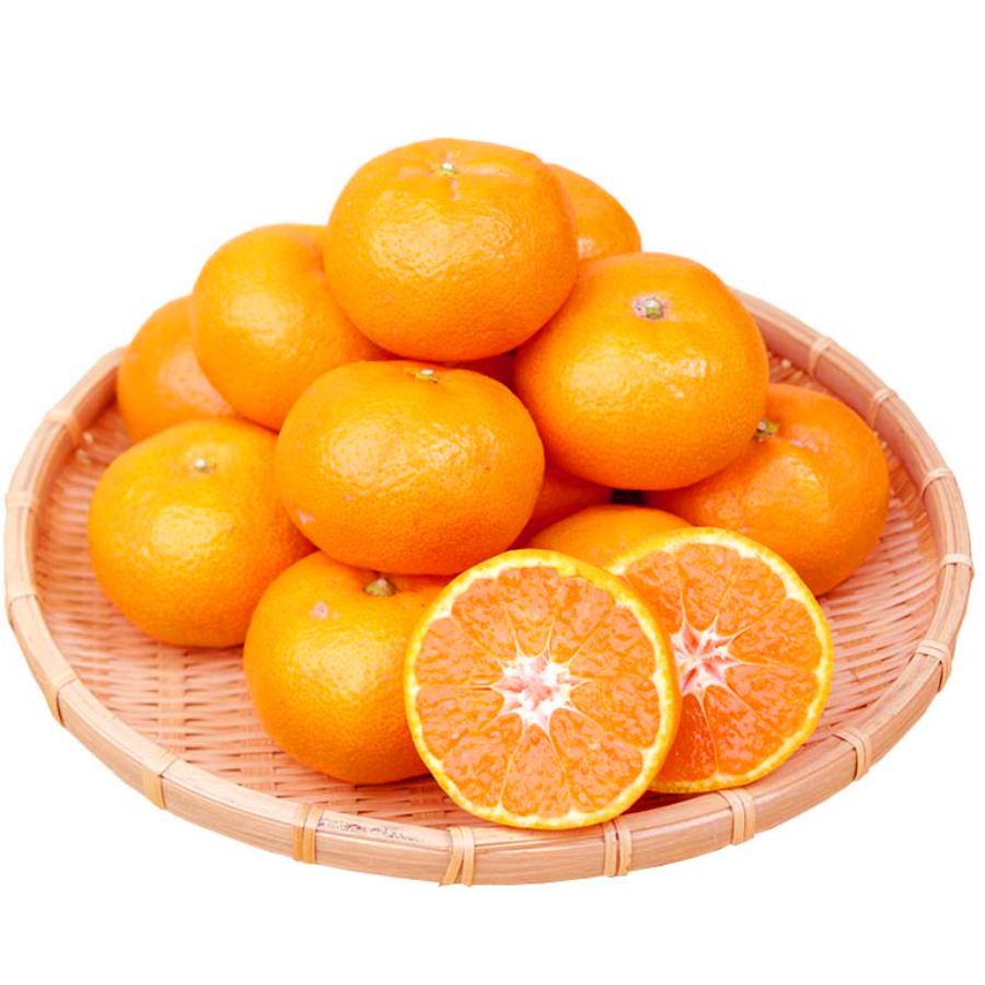 ＜魚鶴＞「有田みかん」秀品（2S～Lサイズ）2kg