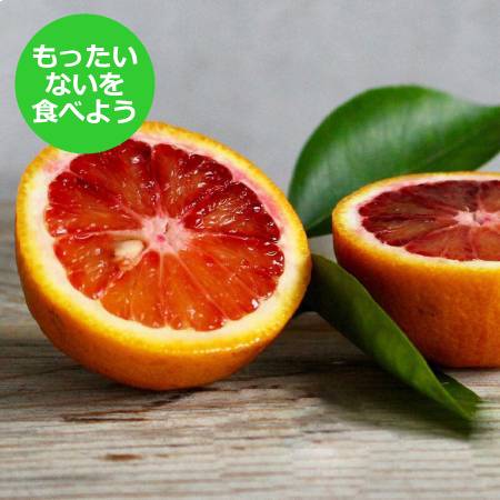 ＜魚鶴＞【もったいない！を食べよう】「ブラッドオレンジ」3kg