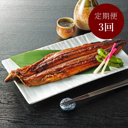 ＜福井鮮魚＞紀州備長炭焼き鰻「蒲焼き」2尾【3ヵ月定期便】
