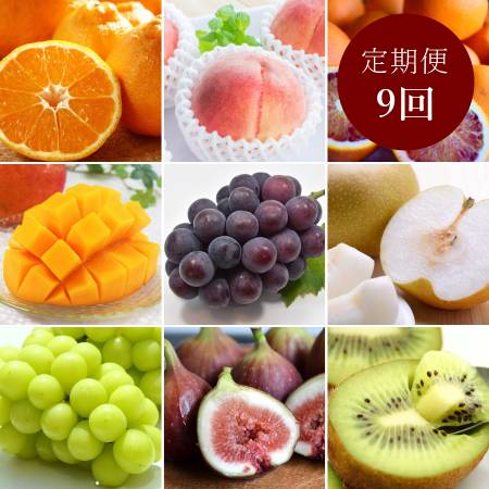 和歌山県産”秀品”「旬の果物」（マンゴー入）【9回定期便】