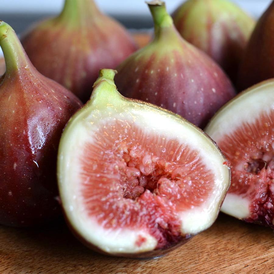 和歌山県産ハウス樹上完熟いちじく秀品12玉(Lサイズ)