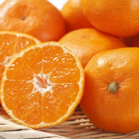 和歌山県有田みかん　秀品5kg（S～Lサイズおまかせ）