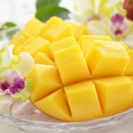 和歌山県産しおさいマンゴー秀品2玉(0.8kg）