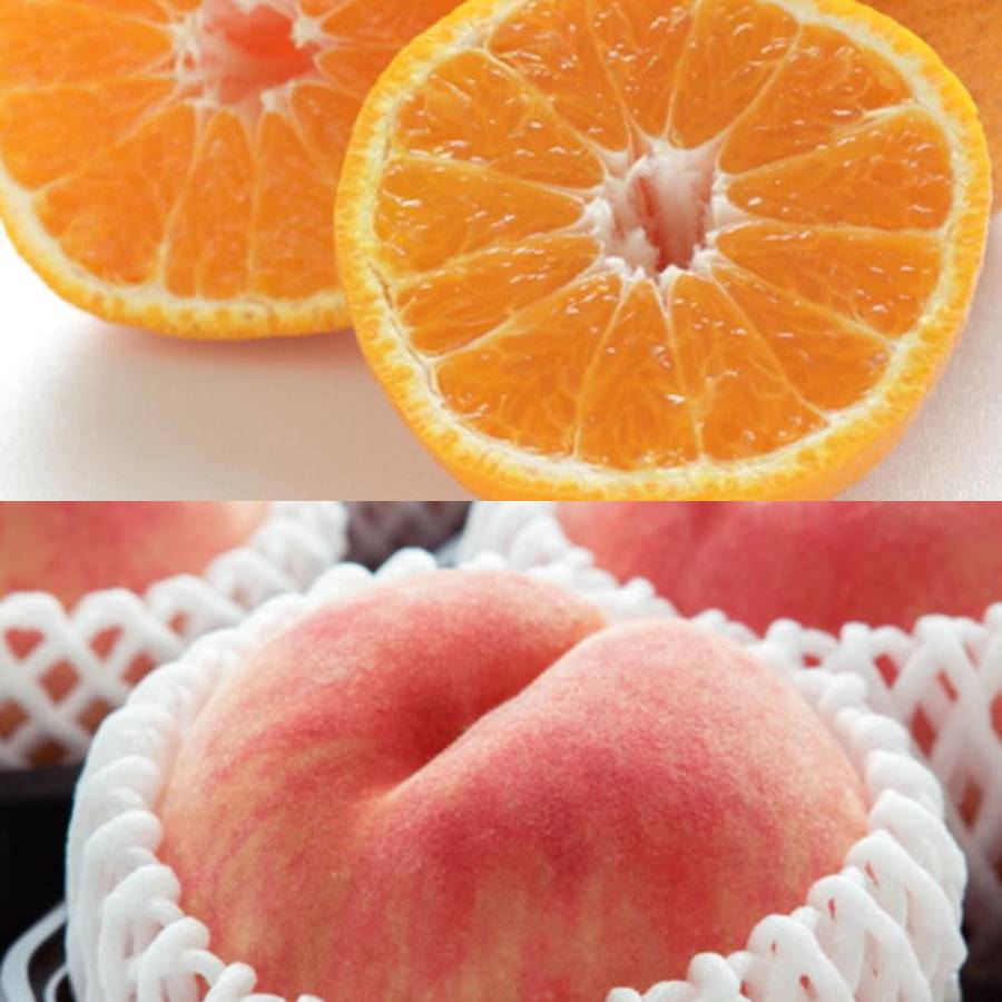 和歌山県産”秀品”「旬の果物」(マンゴー入)【6回定期便】