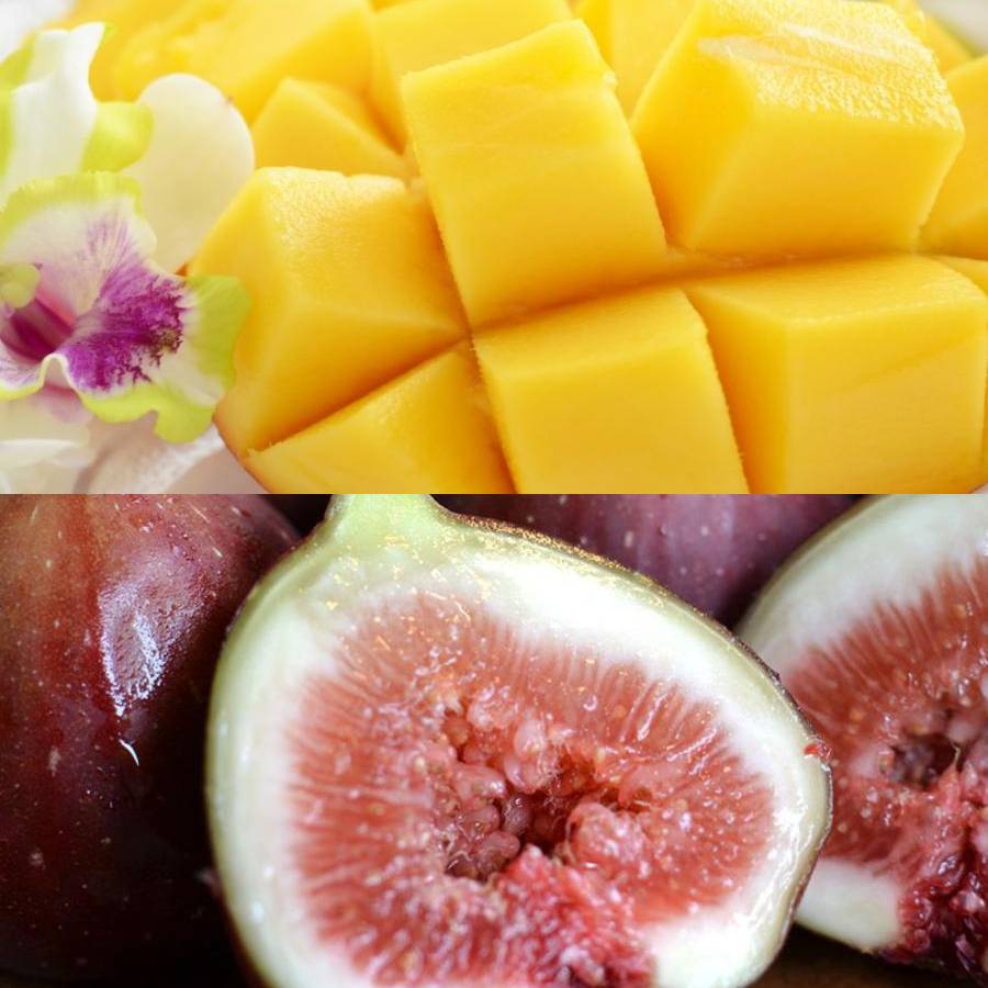 和歌山県産”秀品”「旬の果物」(マンゴー入)【6回定期便】