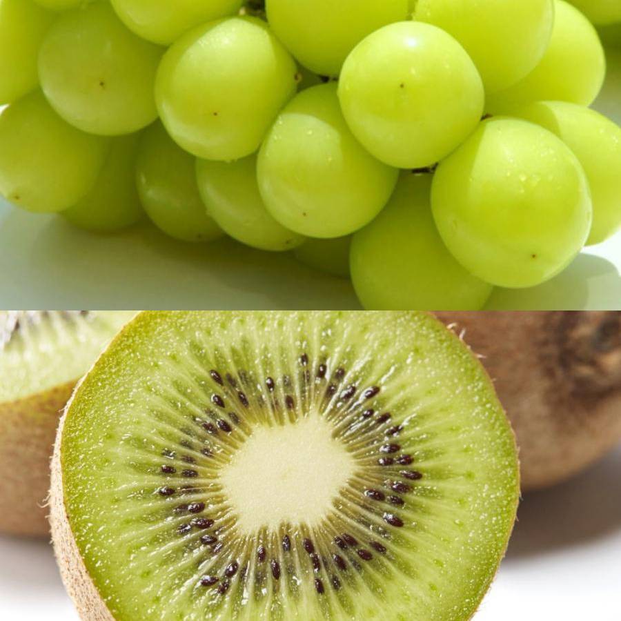 和歌山県産”秀品”「旬の果物」(マンゴー入)【6回定期便】