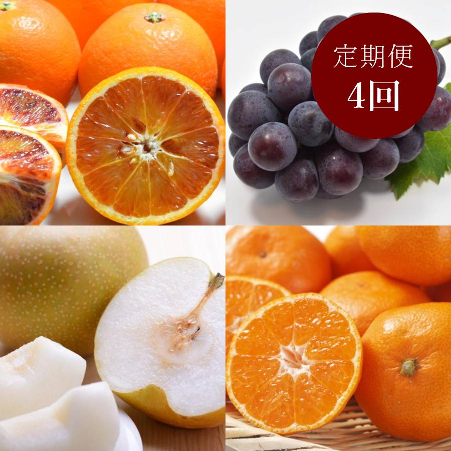 和歌山県産秀品セレクト旬のフルーツ定期便(4回)