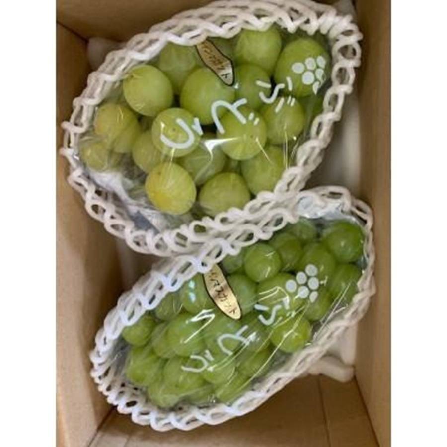 <池田鹿蔵農園>朝採り「シャインマスカット」1.5kg(2~3房)
