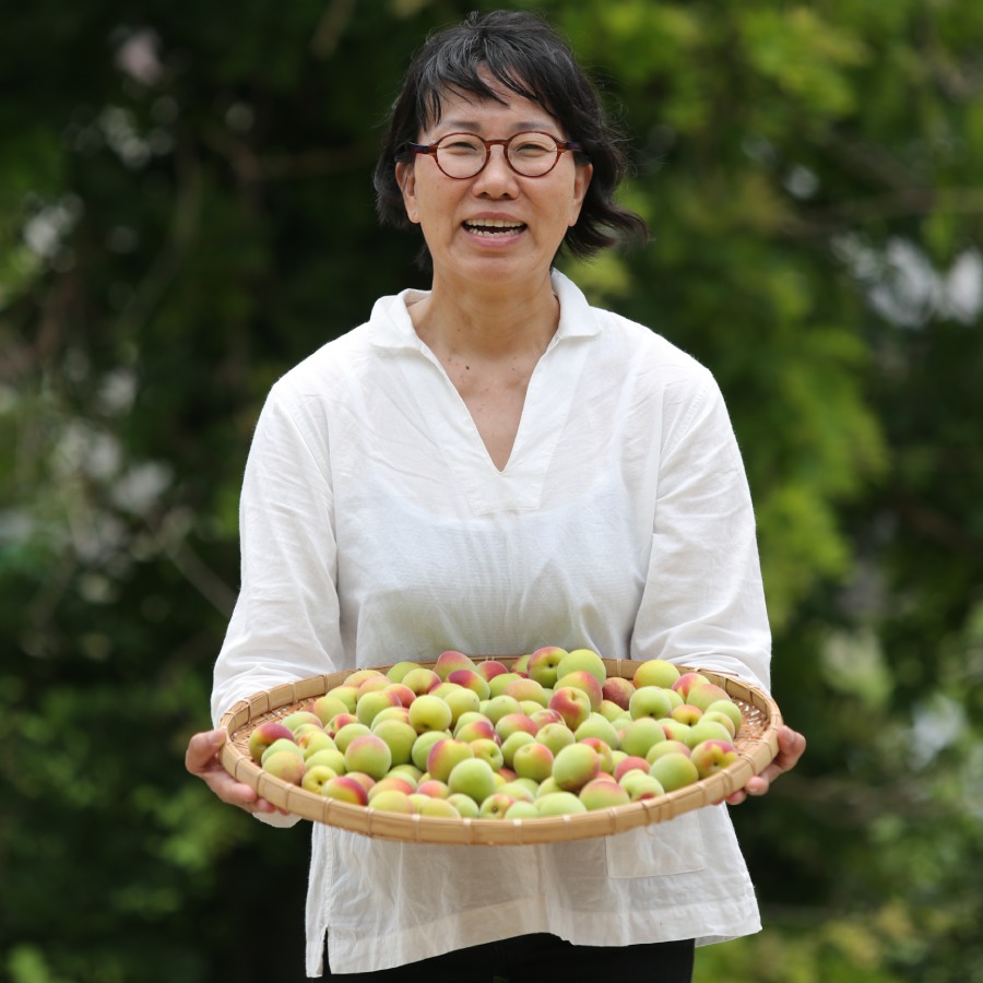 農薬を使用していない南高梅 冷凍 梅酒用 梅シロップ用