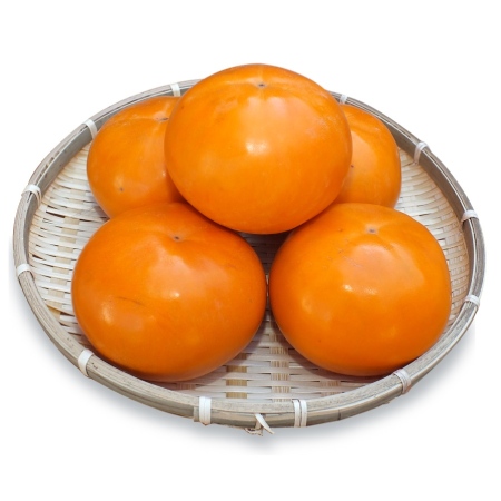 鳥取県産　輝太郎柿　3kg
