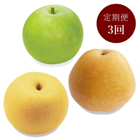 ＜大山恵みの里＞鳥取県産「梨」（新甘泉・20世紀梨・王秋）『赤秀品』各回：５ｋｇ【3回定期便】