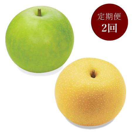 ＜大山恵みの里＞鳥取県産「梨」（新甘泉・20世紀梨）『赤秀品』各回：５ｋｇ【2回定期便】