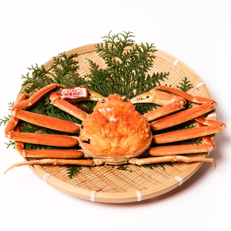 ＜マルツ＞【タグ付き】活〆ボイル「松葉蟹」（中）700g