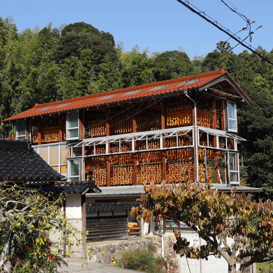 東出雲まるはた干し柿 3Lサイズ×6個