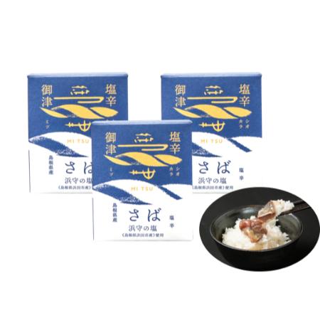 ＜御津フィッシャーマンズファクトリー＞さばの塩辛(80ｇ×3本)
