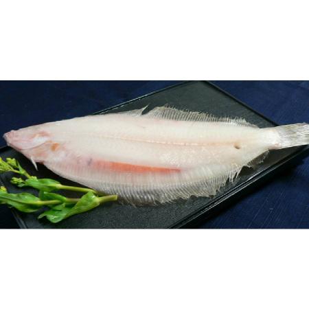 ＜河野乾魚店＞「子持笹かれい」140g×10（計1.4kg）