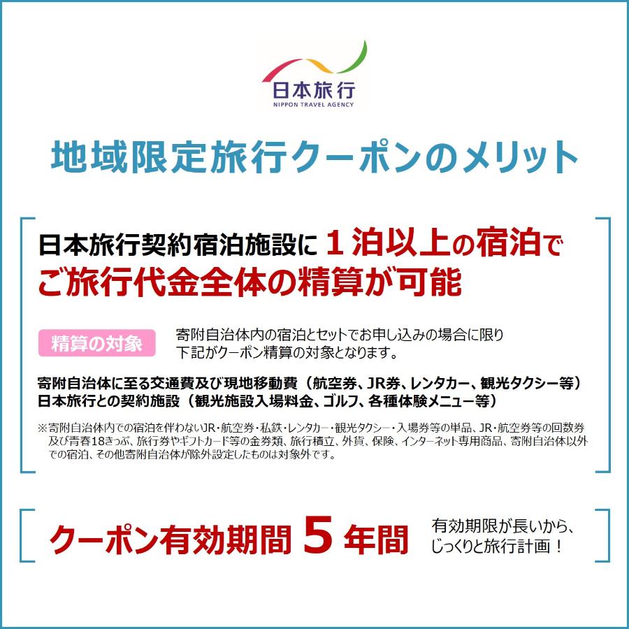 ＜日本旅行＞出雲市　地域限定旅行クーポン　6万円分