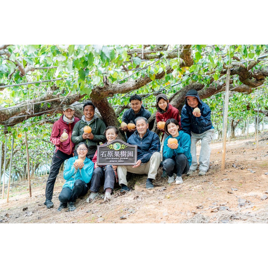 <田口青果>「あたご梨」『青秀』3kg(3~5玉)