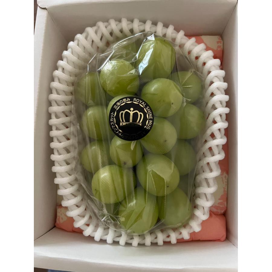 『雲海の恵み』ロイヤルシャインマスカット１房（特選大房）【三越伊勢丹選定】