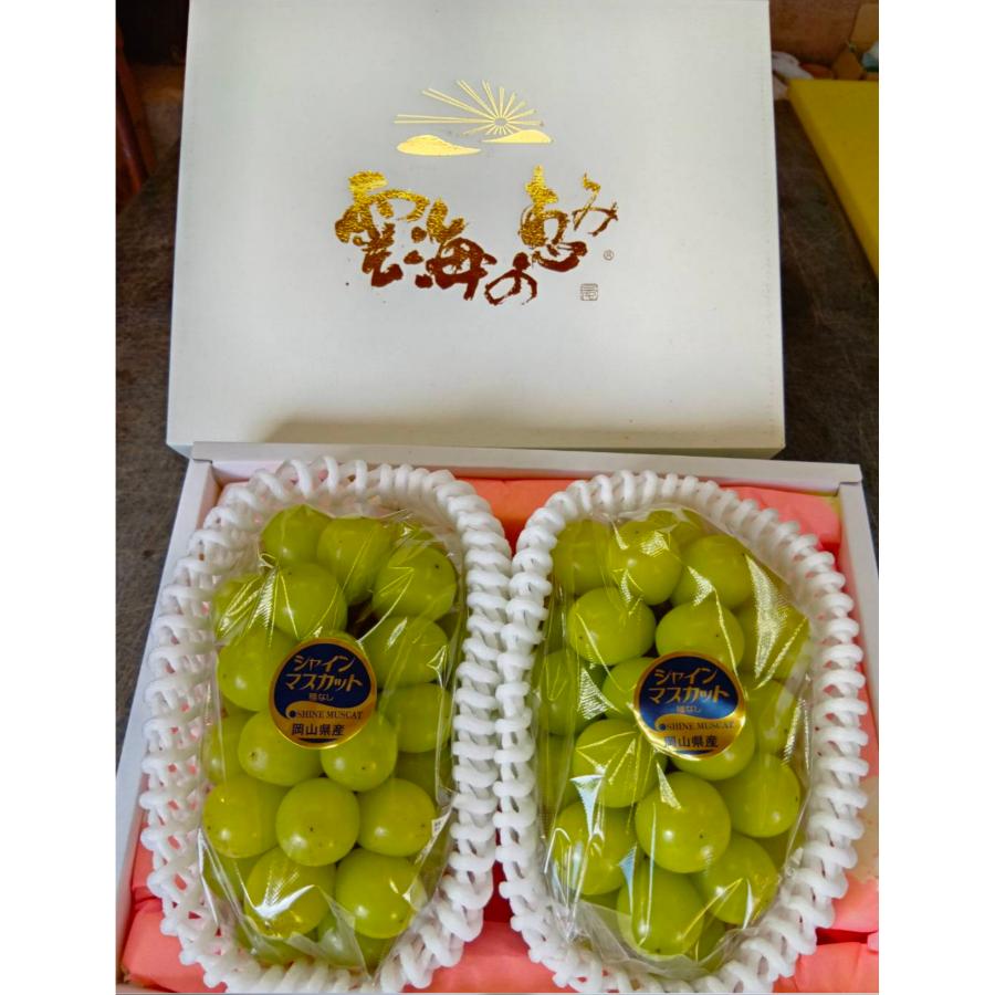 『雲海の恵み』ロイヤルシャインマスカット２房（特選大房）【三越伊勢丹選定】