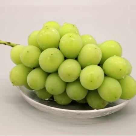 『雲海の恵み』ロイヤルシャインマスカット２房（特選大房）【三越伊勢丹選定】