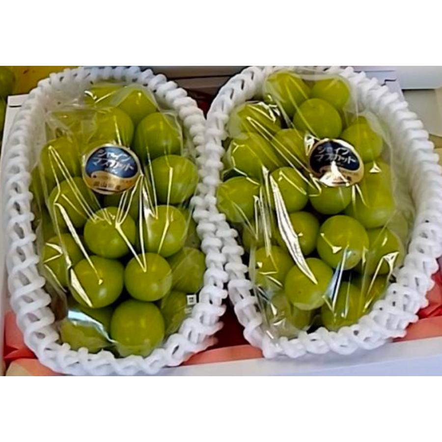 シャインマスカット２房