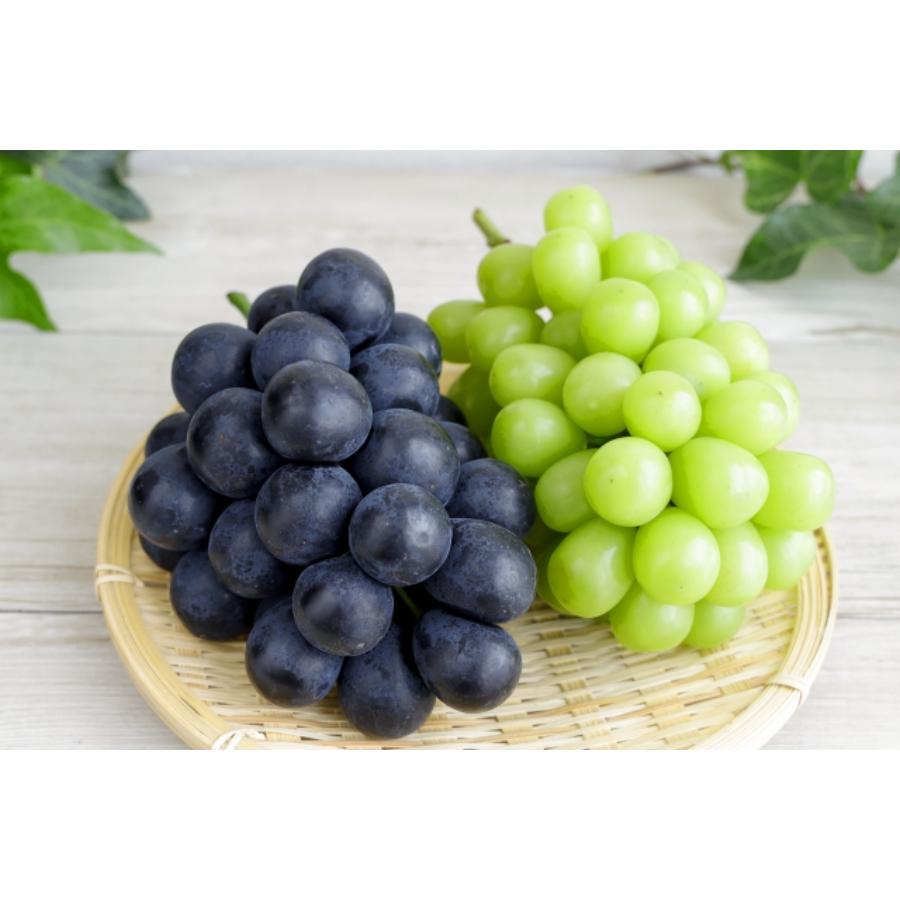 『雲海の恵み』ロイヤルシャインマスカット＆ロイヤル ニューピオーネ（特選大房）【三越伊勢丹選定】