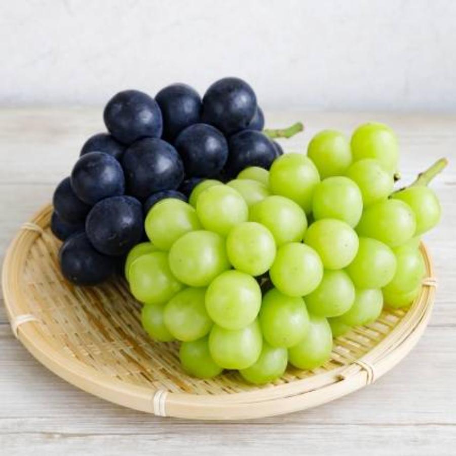 『雲海の恵み』ロイヤルシャインマスカット＆ロイヤル ニューピオーネ（特選大房）【三越伊勢丹選定】