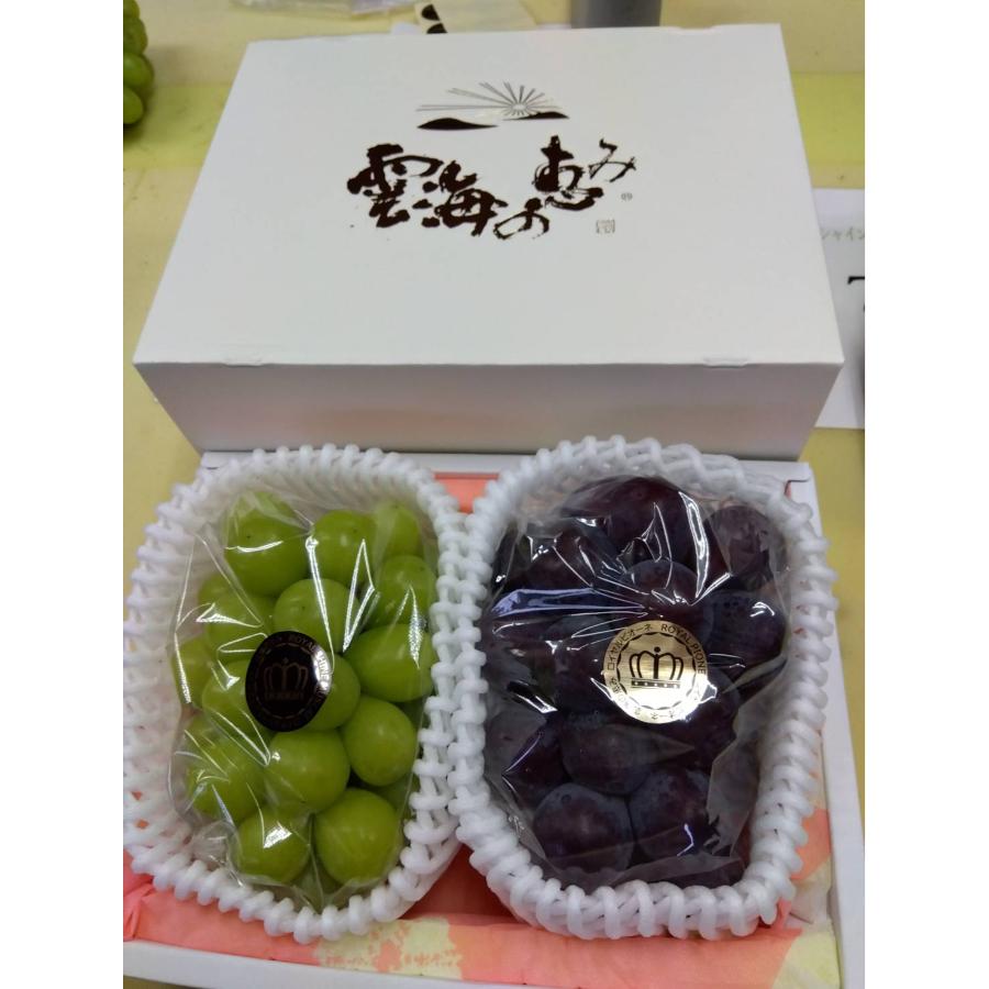 『雲海の恵み』ロイヤルシャインマスカット＆ロイヤル ニューピオーネ（特選大房）【三越伊勢丹選定】