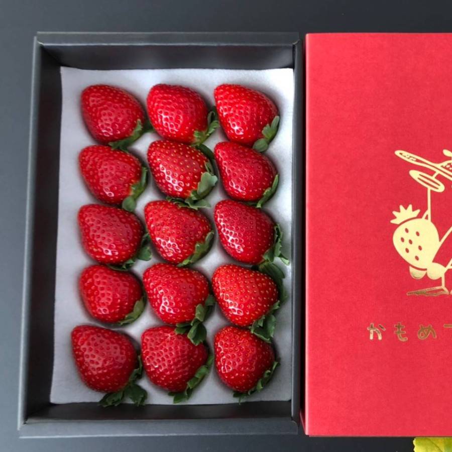 <かもめファーム>「晴苺」400g(9~15玉)
