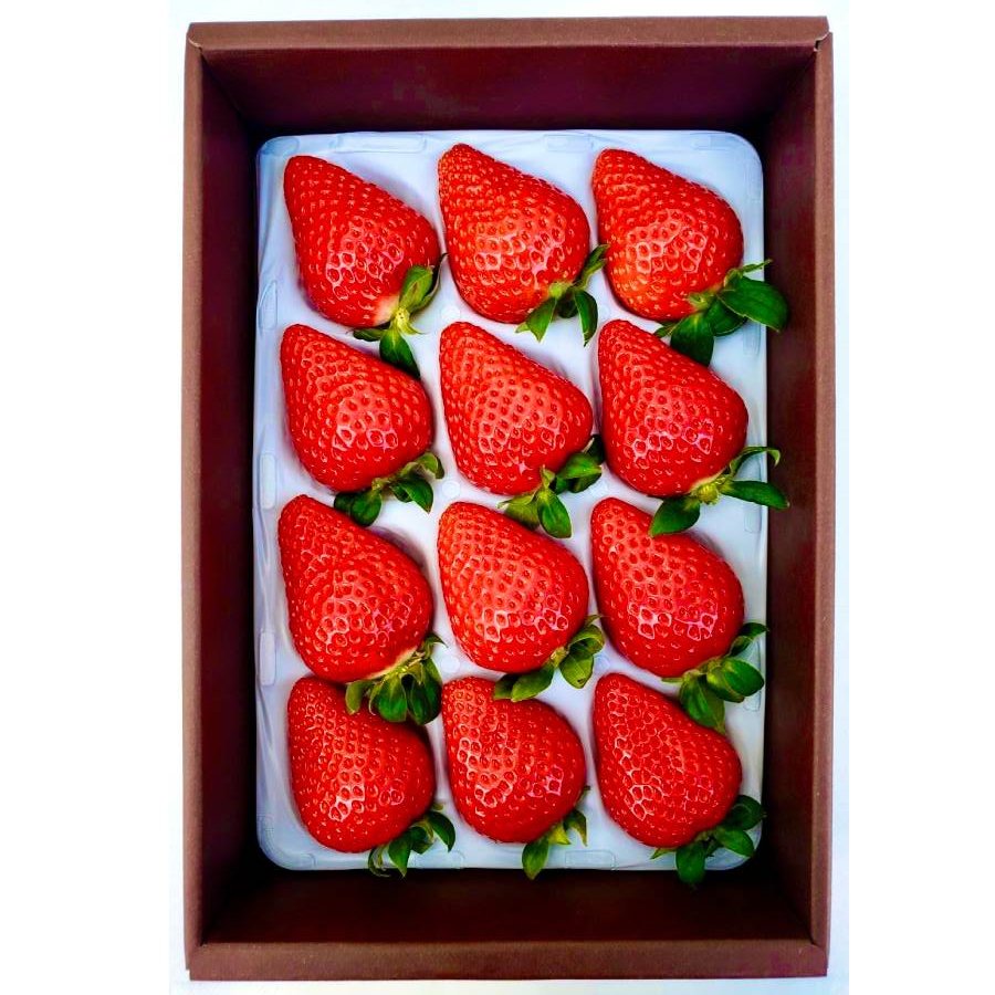 <かもめファーム>「ゆめのか」400g(9~15玉)