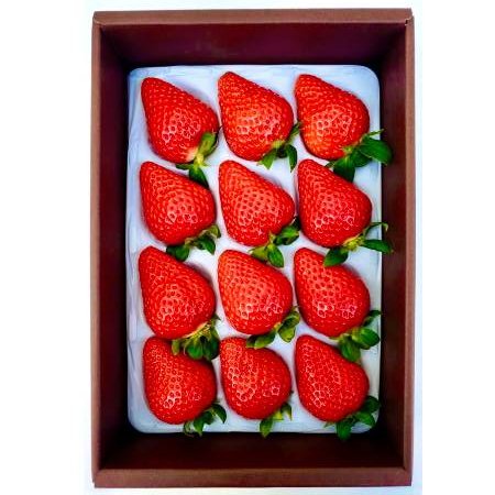 ＜かもめファーム＞「ゆめのか」400g（9～15玉）