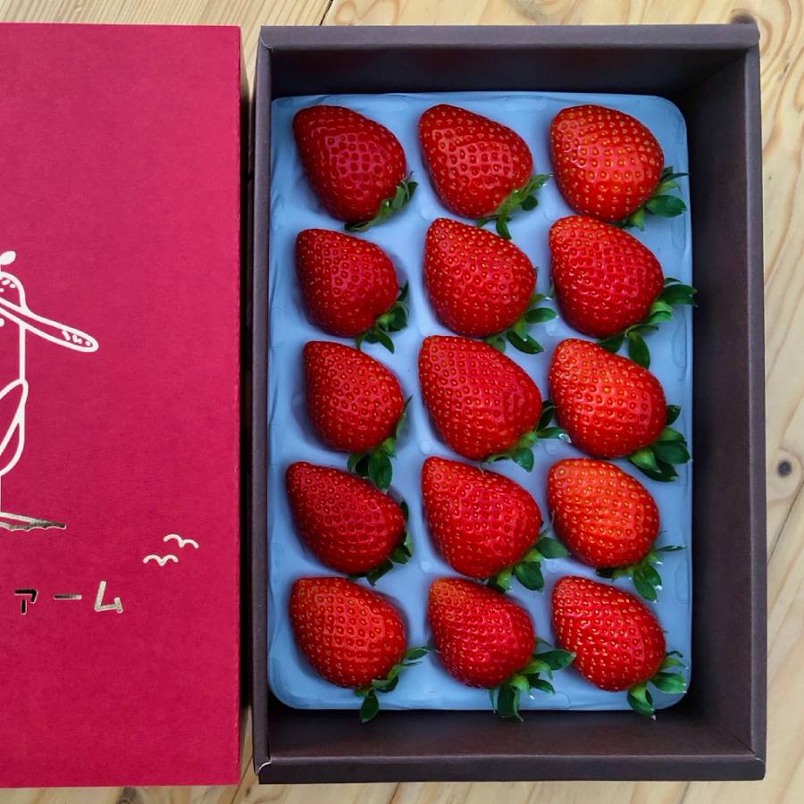 <かもめファーム>「かおり野」400g(9~15玉)
