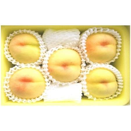＜土方商店＞「岡山白桃」ロイヤル　5～7玉（1.5kg）