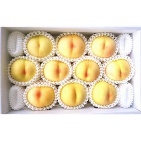 ＜土方商店＞「岡山白桃」ロイヤル【晩生品種】　8～13玉（4kg）