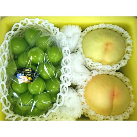 ＜土方商店＞「岡山白桃」＆「シャインマスカット」 1.2kg（各600g）