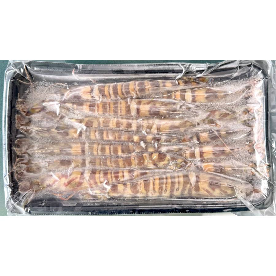 ＜旭水産＞秋穂産活き〆「車海老」冷凍400g【12ヵ月定期便】