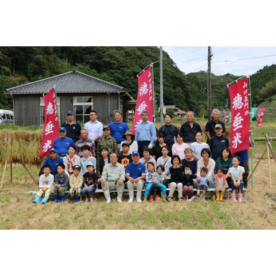 ＜瑞穂糧穀＞～“天然記念物”源氏ホタルの里～特別栽培米「穂垂米ひとめぼれ」5kg【6ヵ月定期便】