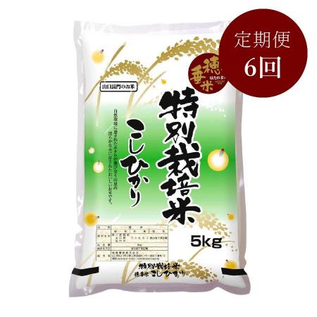 ＜瑞穂糧穀＞～“天然記念物”源氏ホタルの里～特別栽培米「穂垂米こしひかり」5kg【6ヵ月定期便】