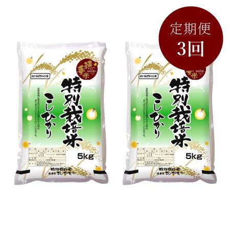 ＜瑞穂糧穀＞～“天然記念物”源氏ホタルの里～特別栽培米「穂垂米こしひかり」5kg×2【3ヵ月定期便】