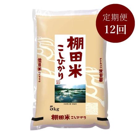 ＜瑞穂糧穀＞～日本の棚田百選～棚田米「こしひかり」5kg【12ヵ月定期便】
