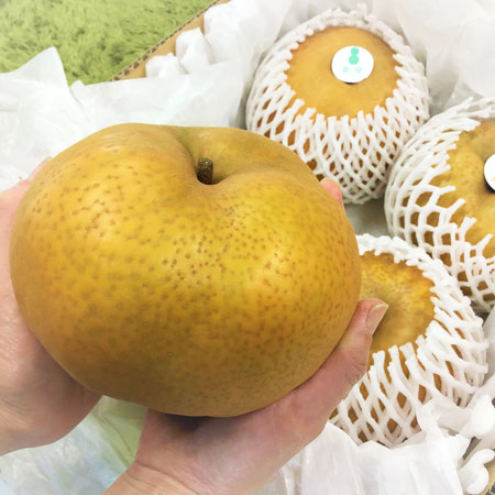 冬の特選梨 4kg(4個)（三越伊勢丹限定）