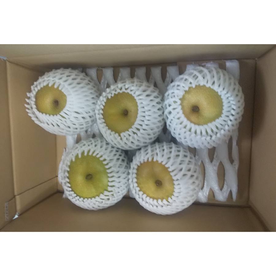 ＜ふれあいプラザ須金＞「幸水」2.5kg（4～7個）