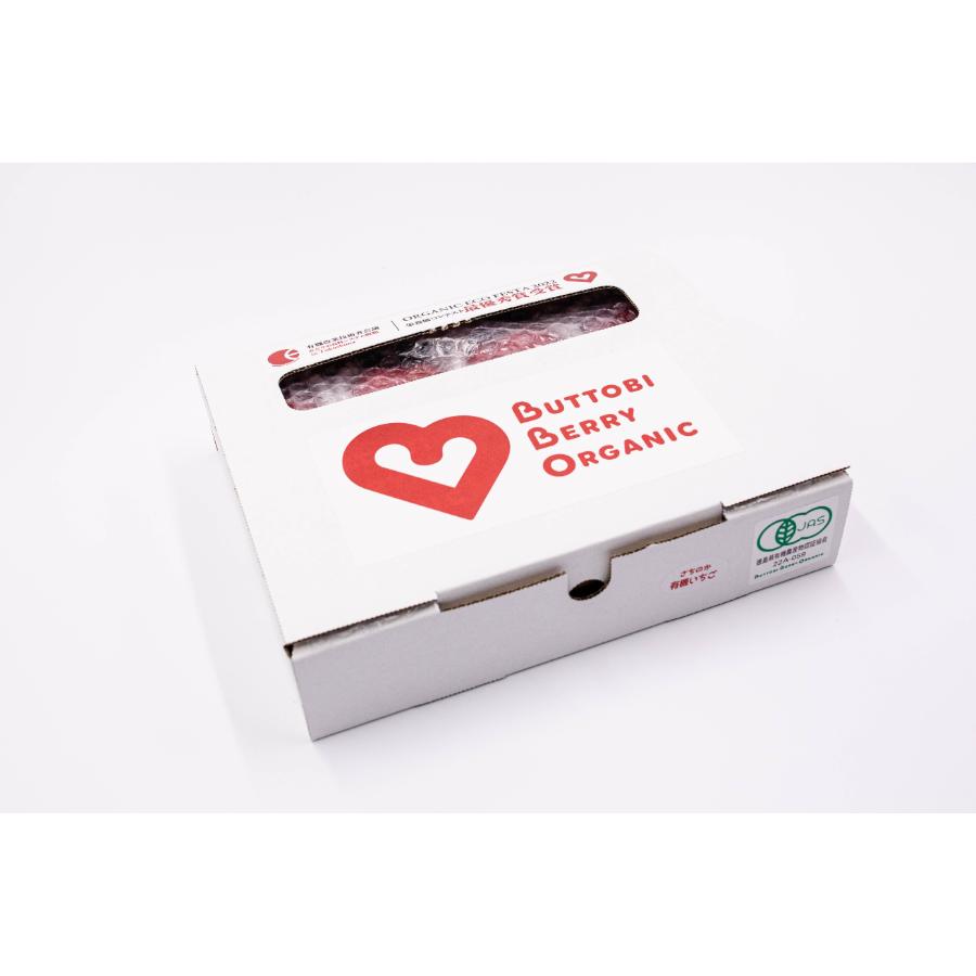 ＜BUTTOBI BERRY ORGANIC ＞とくしまオーガニックいちご（大粒）380g（12～15粒)