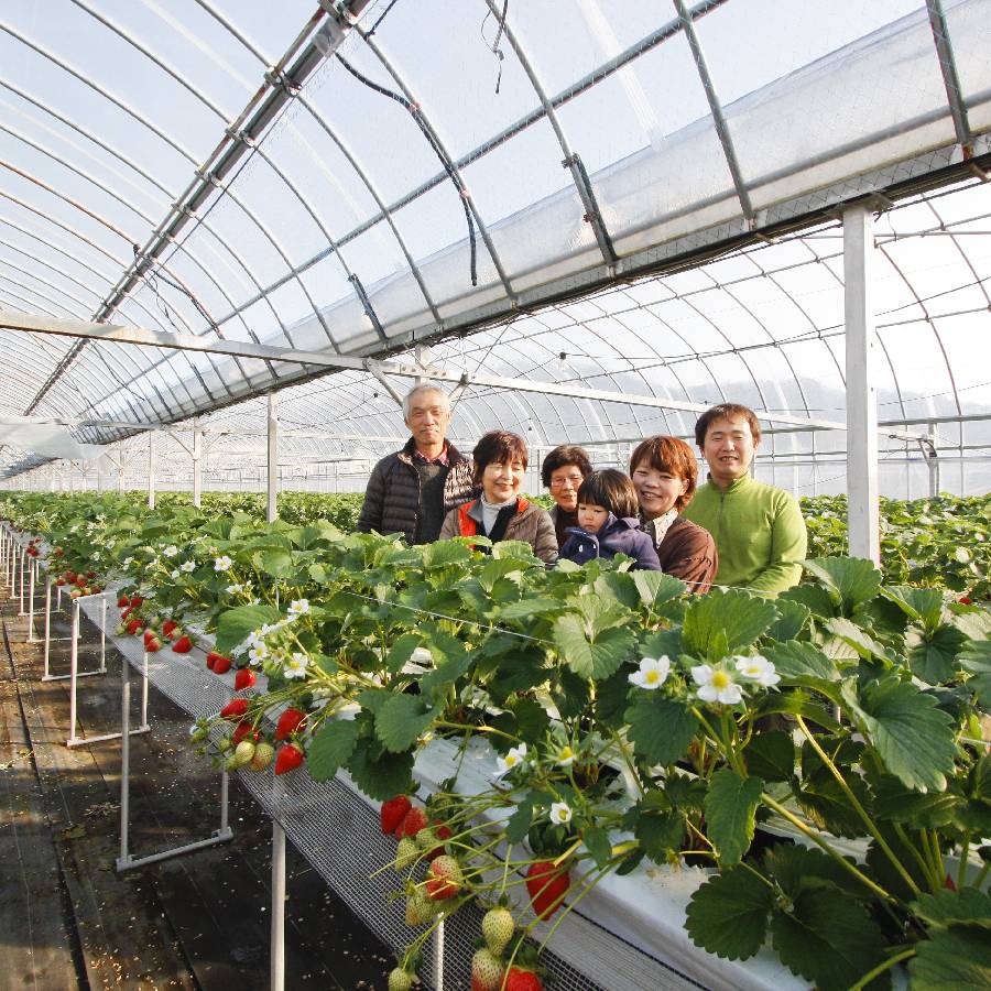 ＜いちご農家西岡農園＞勝占いちご15粒